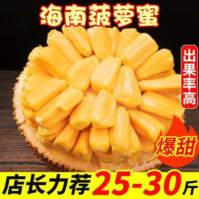 海南黄肉菠萝蜜新鲜水果波罗水果新鲜当季红三亚特产一整个包邮