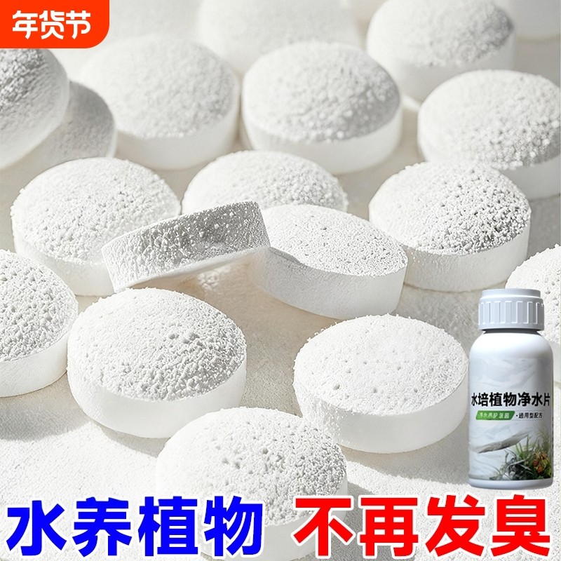水培植物净水片除臭杀菌消毒鲜花花卉保鲜剂碗莲除藻专用净化水质,鲜花速递/花卉仿真/绿植园艺,家庭园艺肥料,淘宝优惠券,粉丝福利购,淘宝优惠卷