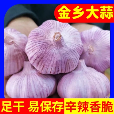 【超值抢购】大蒜头批发干蒜紫白皮蒜新鲜应季蔬菜整箱批发价包邮