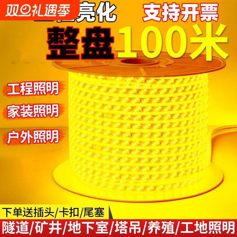 整卷100米超亮LED灯带家装户外工程亮化吊顶户外防雨暖光白光装
