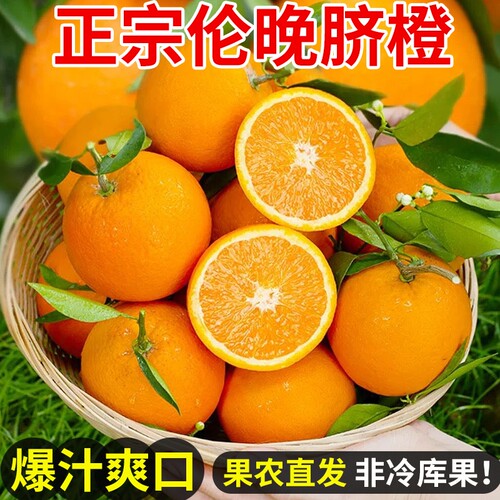 秭归伦晚脐橙子湖北手剥橙果冻甜橙整箱橙子水果新鲜应当季水果