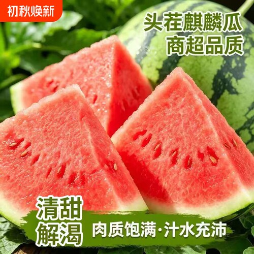 新鲜麒麟西瓜水果当季现摘8424美都有籽薄皮冰淇淋大西瓜整箱无籽