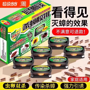 蟑螂药家用非无毒全窝正品第强效端虫卵双杀杀蟑胶饵专用灭蟑螂