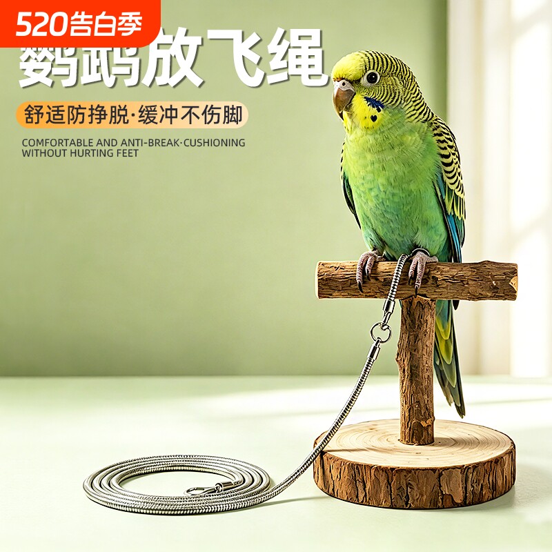 不锈钢鹦鹉脚链栓鸟遛鸟放飞绳合金脚环蛇骨绳牡丹玄凤脚环链子