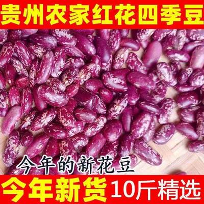 【新四季豆】贵州花豆农家自种红豆子豆米火锅酸菜豆米花芸豆