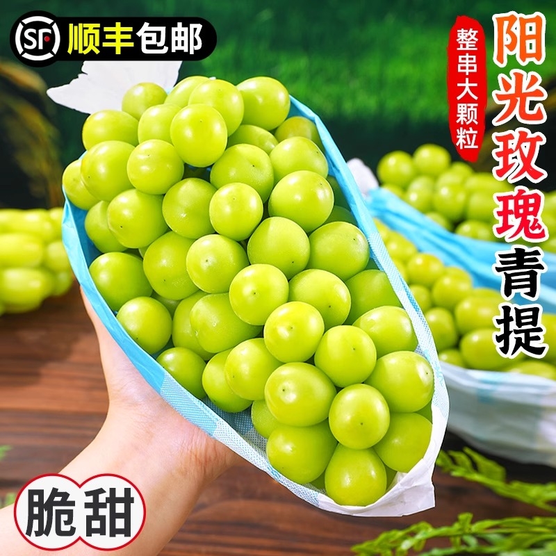 阳光玫瑰葡萄新鲜水果顺丰脆甜无籽香印提子青提晴王葡萄当季整箱