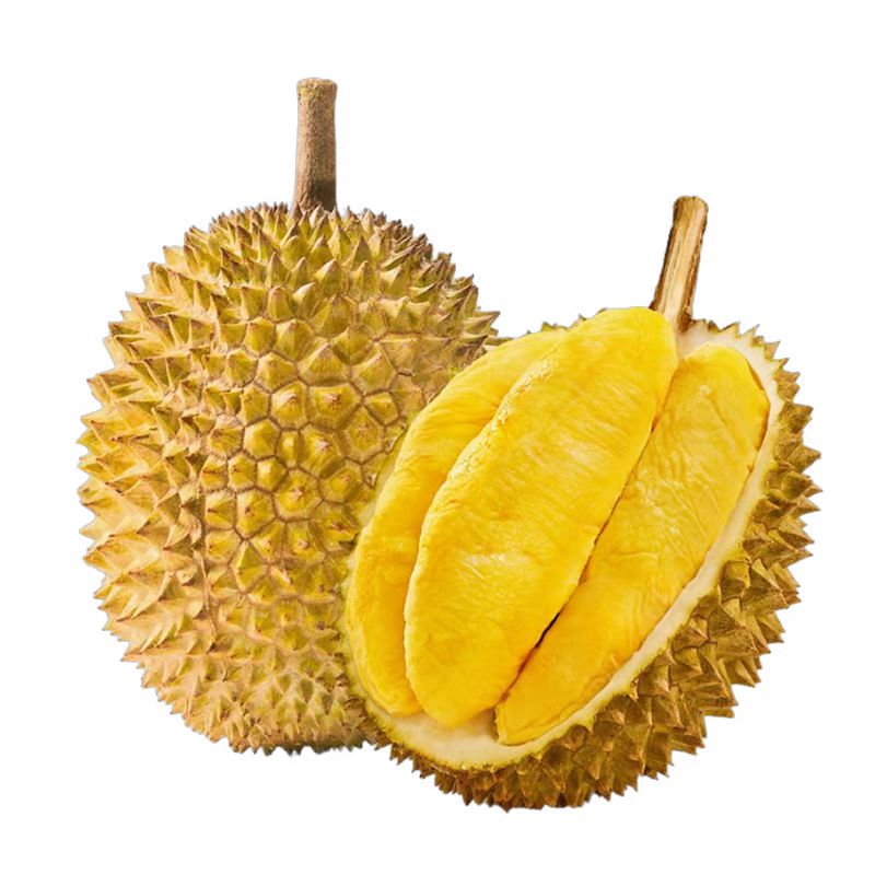 金枕榴莲