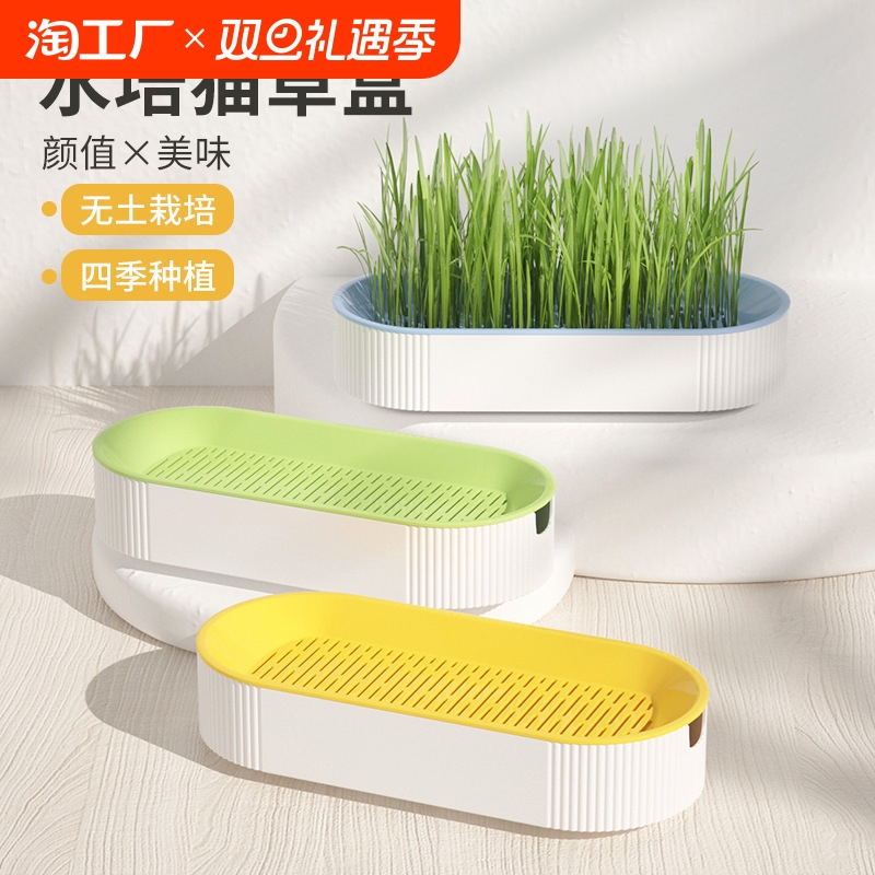 【狂欢价】宠物猫草盆栽小麦种植盒无土水培猫草盒化毛零食懒人盆宠物用品