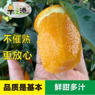 宜昌脐橙鲜甜多汁纽荷尔脐橙榨汁橙子当季新鲜水果孕妇幼儿可榨汁
