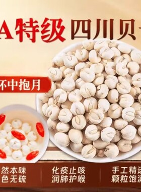 川贝母中药材无硫新货四川特级野生可搭枇杷膏糖炖梨喝止咳