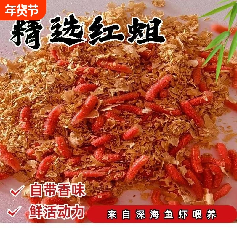 鲜活红蛆虫鱼饵鳊鱼神饵野钓蛋白饵料溪流河流爆护饵罗非翘嘴昆虫