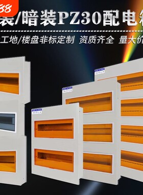 pz30配电箱明装暗装强电箱国标电闸盒箱入户箱回路盒空开箱工程用