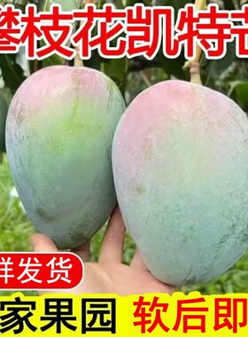 特大凯特芒新鲜甜|超2000次加购