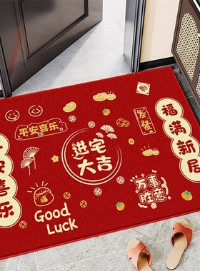 进门门外地垫入户门垫高级感门口地毯脚垫防滑室内新居进宅吸水