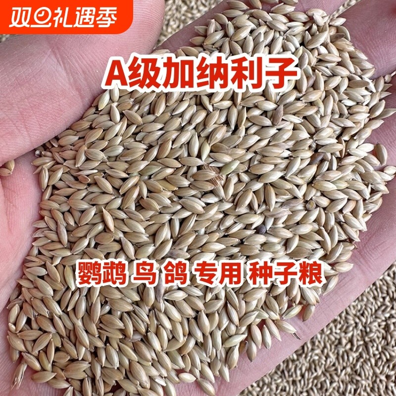 进口加纳利子鹦鹉鸟食玄凤虎皮牡丹抗寒鸟粮白尖饲料草籽种子粮