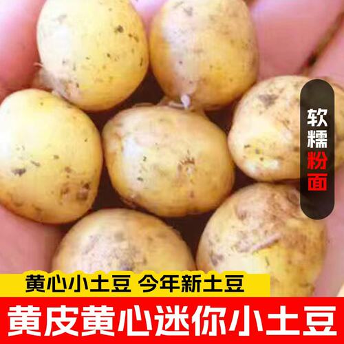 新鲜恩施富硒黄心小土豆