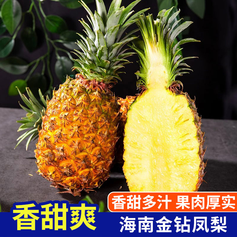 海南金钻凤梨当季热带鲜果现摘现发新鲜多汁香甜菠萝