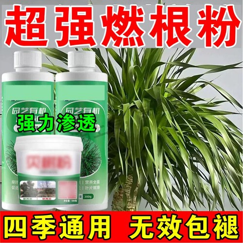 龙血树专用营养液盆栽室内绿植花肥防治黄叶干尖枯叶倒伏通用肥F
