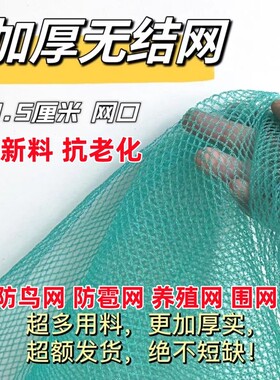 防鸟网果园防鸟用网|千人加购