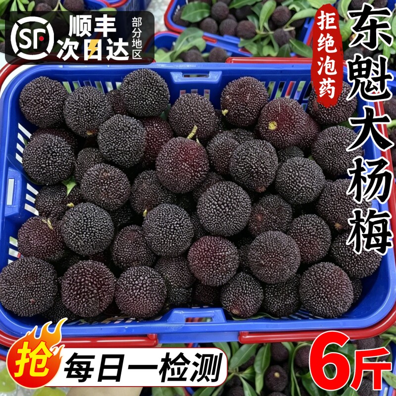 顺丰包邮 正宗东魁大杨梅鲜果6斤新鲜水果当季现摘大果炭梅整箱甜