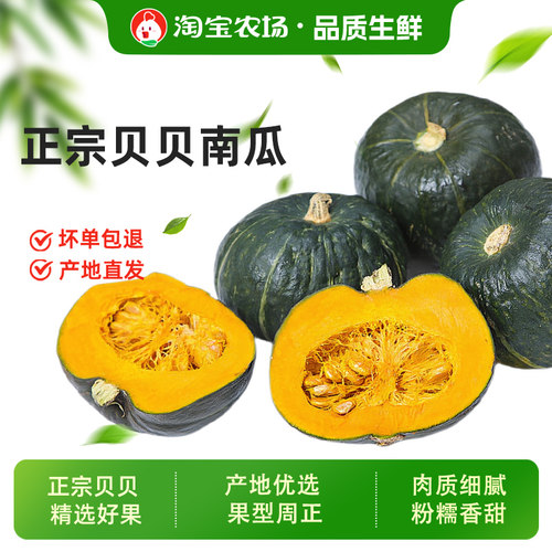 贝贝南瓜粉糯香甜可口