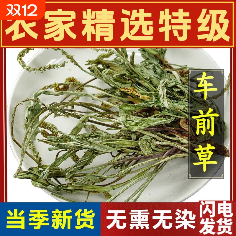 车前草野生干货官方旗舰店泡水喝的功效与作用中药材新鲜整棵500g