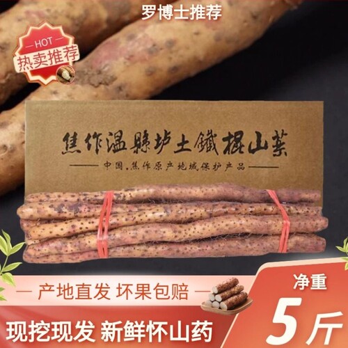 铁棍山药新鲜正宗河南焦作温县
