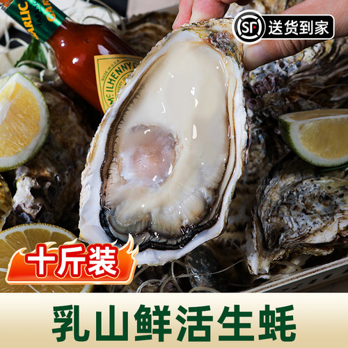 鲜活乳山生蚝10斤钜惠装