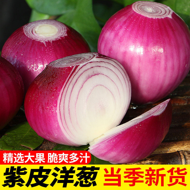 正宗农家现挖紫皮洋葱新鲜甜味生吃10斤圆葱小洋葱头大葱头蔬菜葱,水产肉类/新鲜蔬果/熟食,洋葱/红葱头,淘宝优惠券,粉丝福利购,淘宝优惠卷