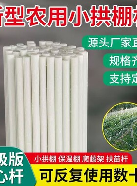 大棚骨架玻璃纤维新型小拱棚支架地膜蔬菜棚拱杆玻璃钢支撑条农用