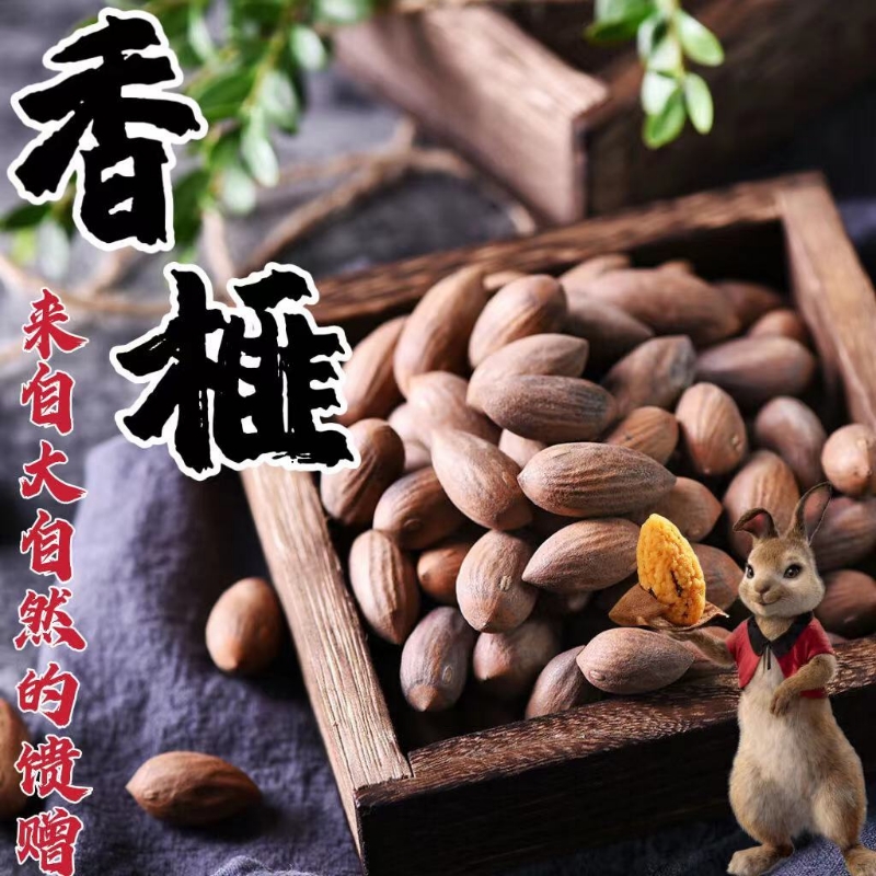 【正宗枫桥香榧】新货特级枫桥老树香榧250g500g1000g零食坚果