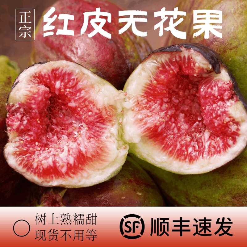 新鲜红皮无花果新鲜现摘水果当季整箱包邮特级大果紫红皮鲜果熟果