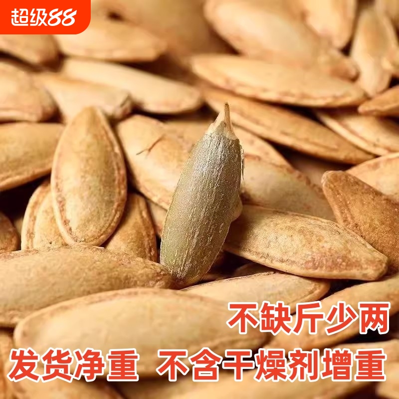 美人甲南瓜子500g正宗新疆美人甲特大美指甲南瓜籽新货零食净重