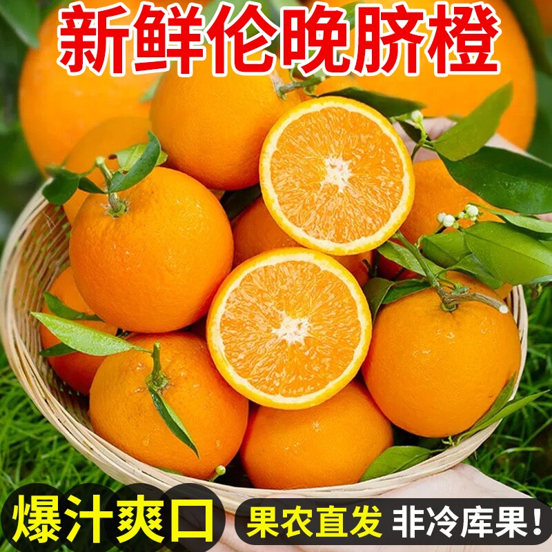伦晚脐橙新鲜橙子当季水果果冻冰糖甜橙大果整箱包邮秭归脐橙鲜果