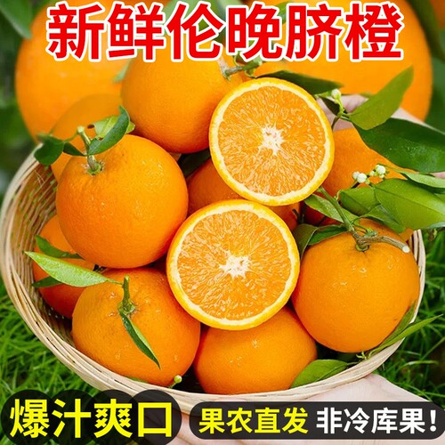 正宗伦晚脐橙新鲜橙子当季水果果冻冰糖甜橙大果整箱包邮秭归脐橙