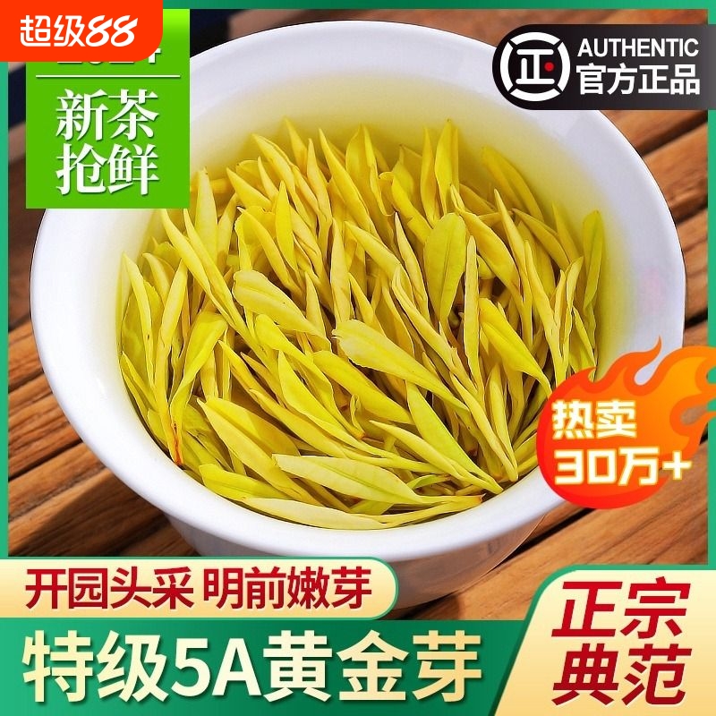 浙江珍稀白茶2025年新茶明前特级黄金芽茶叶礼盒装绿茶独