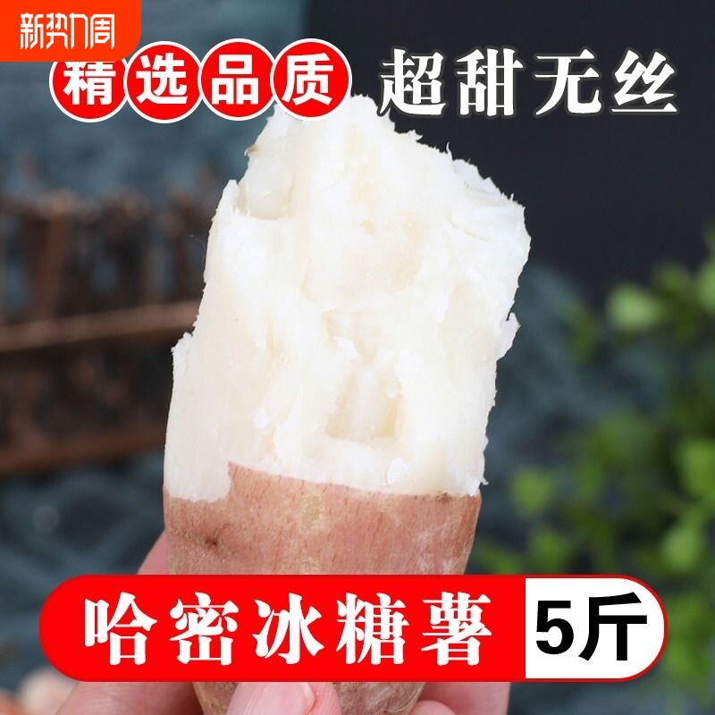 山东哈密冰糖心白薯地瓜新鲜5斤老品种山芋白心板栗超甜无丝红薯