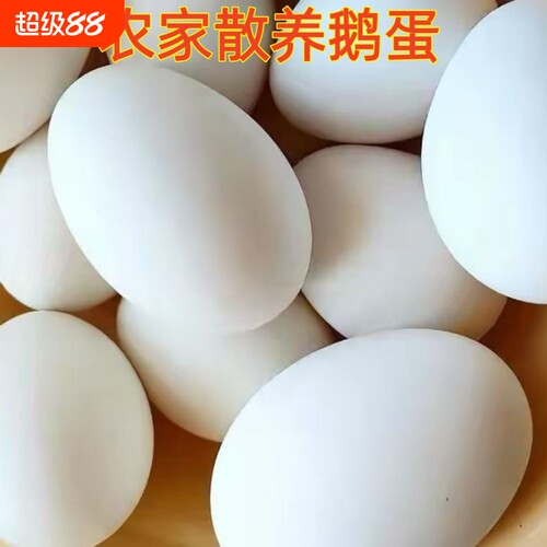 农家散养土鹅蛋新鲜生态鹅蛋现捡现发孕妇宝宝大鹅蛋营养健康