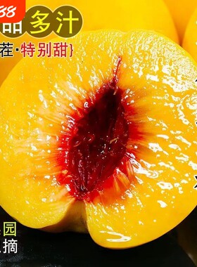 山东蒙阴黄桃大果新鲜毛桃子甜蜜可口黄金水蜜桃软硬两吃现摘脆甜