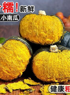 正宗真贝贝南瓜板栗味小南瓜粉糯辅食批发新鲜3斤5斤粗粮精选配送
