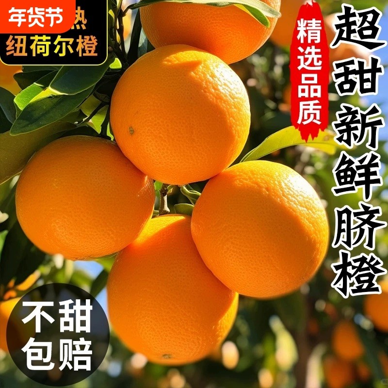 正宗纽荷尔脐橙大果新鲜水果橙子9斤净重湖南特产应季果冻甜橙,水产肉类/新鲜蔬果/熟食,橙,淘宝优惠券,粉丝福利购,淘宝优惠卷