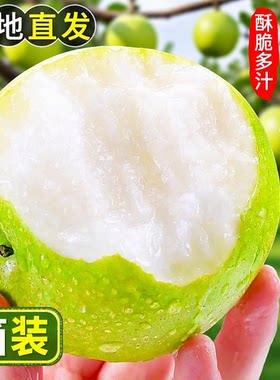 安徽酥脆青皮蜜梨正宗青皮翠冠梨子非皇冠苹果梨纯甜应季新鲜水果