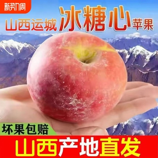 冰糖心红富士丑苹果酥脆甜苹果当季 新鲜水果农户自种产地直供
