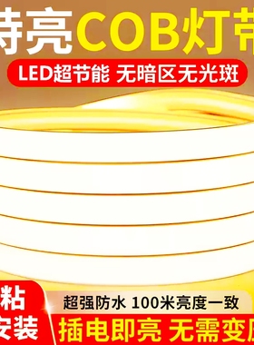 led灯带220v超亮自粘线形灯家用客厅吊顶氛围彩COB户外防水软灯条