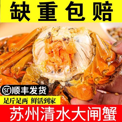 苏州大闸蟹产地直发鲜活螃蟹公4两可全母3两10只礼盒装顺丰包邮