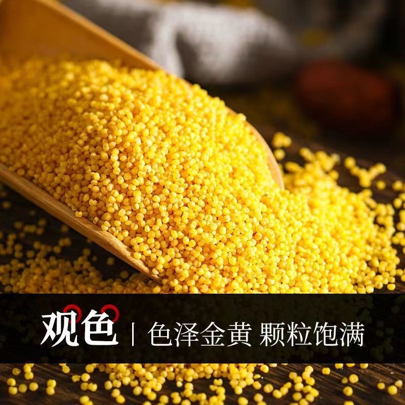 农家新货黄小米5斤米养胃小黄米粥月子米杂粮大米黑米五谷粗粮