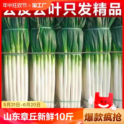 山东章丘大葱新鲜10斤特级