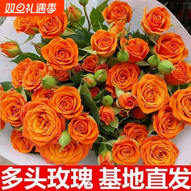 橙色芭比多头小玫瑰鲜花插瓶