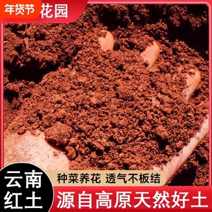 云南红土种植土纯天然高原酸性蓝莓专用红泥土养花种菜通用营养土