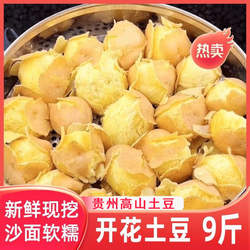 贵州毕节威宁洋芋农家自种贵州红皮黄心土豆新鲜马铃薯炖炒烧菜